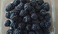 Amora Negra
